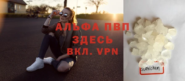 хмурый Дмитриев